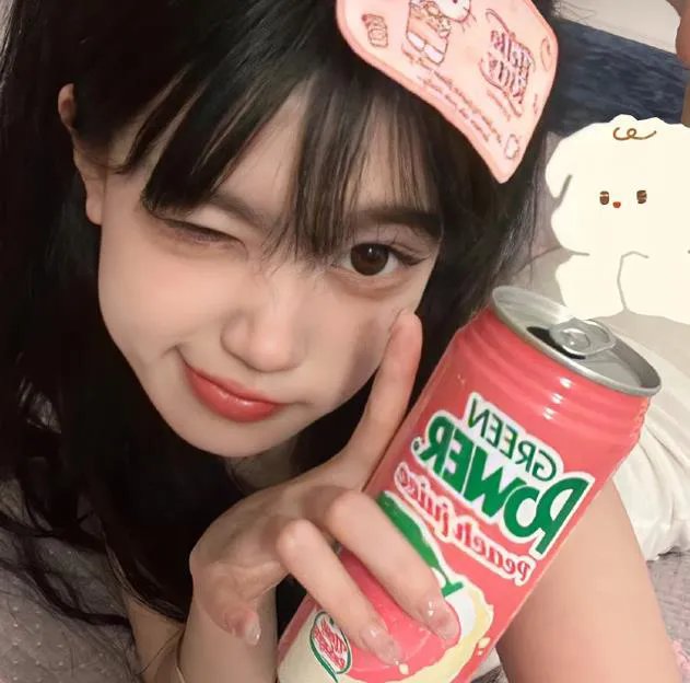 为什么猫都叫不来